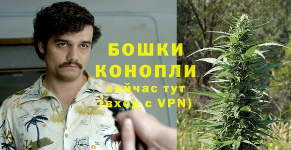 спиды Богданович