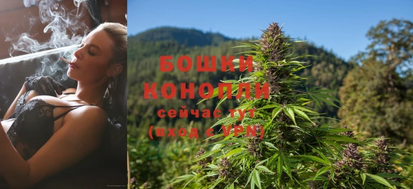 кокс Богородицк