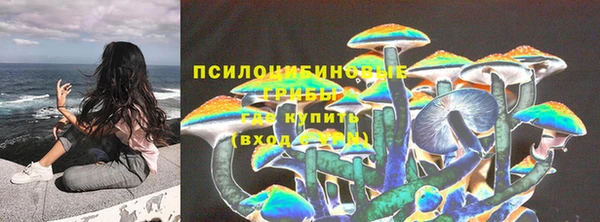 кокс Богородицк