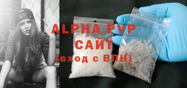 спиды Богданович