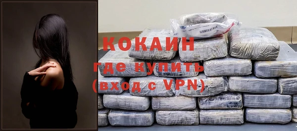 спиды Богданович